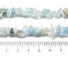 Natural Aquamarine Chip Beads Strands X-G-L154-19-5