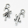Tibetan Style Alloy Charms LS-TIBE-S301-028AS-RS-1