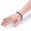 Natural Apatite Stretch Bracelets BJEW-JB03738-03-3