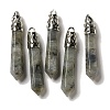 Natural Labradorite Pointed Big Pendants G-Z055-01P-23-1