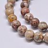 Natural Maifanite/Maifan Stone Beads Strands G-F353-8mm-1