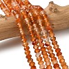 Natural Banded Agate Beads Strands G-D344-A34-03-1