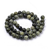 Natural Serpentine/Green Lace Stone Beads Strands X-G-S259-15-8mm-2