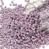 Cylinder Seed Beads SEED-H001-H18-1