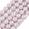 Electroplated Shell Pearl Beads Strands BSHE-G041-10mm-06-1