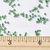 MIYUKI Delica Beads SEED-X0054-DB0605-4