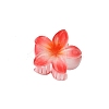 Plastic Claw Hair Clips PW-WG07B2B-07-1