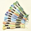 6-Ply Polyester Embroidery Floss OCOR-FZ0001-01F-8