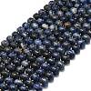 Natural Sodalite Beads Strands G-P573-B17-01-2