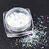 Holographic Chunky Glitter Nail Art Pigment Dust MRMJ-S015-009L-1