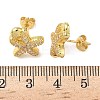 Brass Micro Pave Clear Cubic Zirconia Stud Earrings EJEW-A145-03C-G-5
