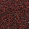 MIYUKI Round Rocailles Beads X-SEED-G008-RR4513-2