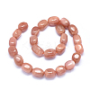Natural Sunstone Beads Strands G-O173-089-2