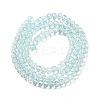 Transparent Baking Paint Glass Beads Strands LS-DGLA-A034-T4mm-D06-2