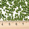 Baking Paint Glass Seed Beads SEED-S042-05A-21-4