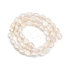 Natural Cultured Freshwater Pearl Beads Strands PEAR-P064-20I-02A-01-3