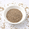MIYUKI Delica Beads SEED-JP0008-DB1731-2