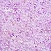 Transparent Glass Seed Beads SEED-N014-01A-04-3