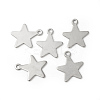 Tarnish Resistant 201 Stainless Steel Pendants STAS-F192-040P-1