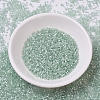 MIYUKI Delica Beads X-SEED-J020-DB0829-2