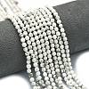 Natural Howlite Beads Strands G-A260-A25-01-1