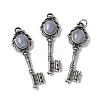 Key Brass Natural Grey Agate Big Pendants KK-D361-01AS-24-1