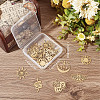 20Pcs 10 Style Ion Plating(IP) 201 & 304  Stainless Steel Pendants STAS-SC0004-74-6