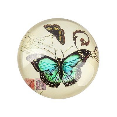 Butterfly Printed Glass Half Round/Dome Cabochons GGLA-N004-14mm-C-1