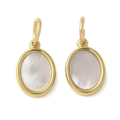 304 Stainless Steel Natural Paua Shell/White Shell Charms Ion Plating(IP) STAS-U037-03G-02-1