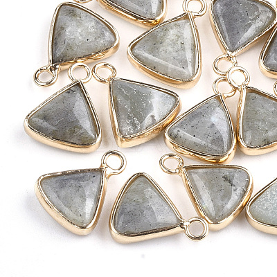 Natural Labradorite Pendants G-S344-10C-1