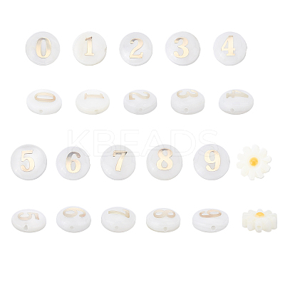 22Pcs 10 Style Natural Freshwater Shell Beads SHEL-AR0001-04-1