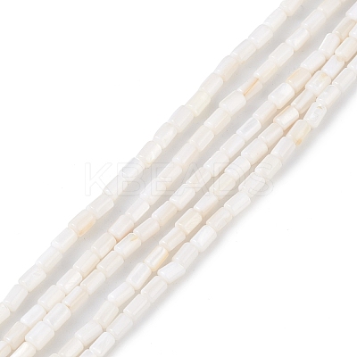 Natural Freshwater Shell Dyed Beads Strands SHEL-M018-12-12-1