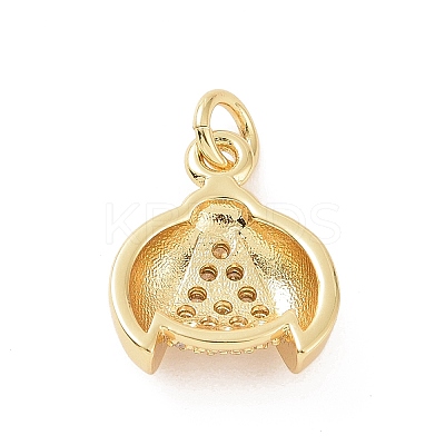 Brass Micro Pave Cubic Zirconia Charms KK-C012-44G-1