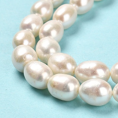 Natural Cultured Freshwater Pearl Beads Strands PEAR-E016-193-1