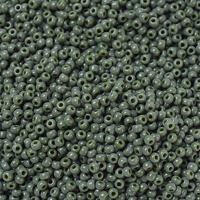MIYUKI Round Rocailles Beads SEED-G007-RR0501-1