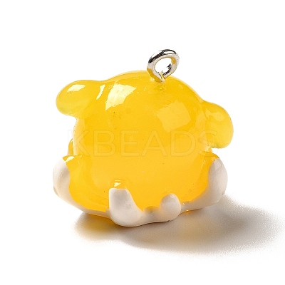 Marine Series Transparent Resin Pendants RESI-E031-02P-01-1