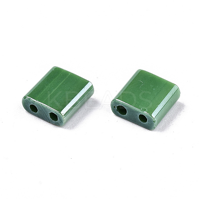 FGB 2-Hole Glass Seed Beads SEED-S031-L-ST127-1
