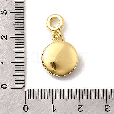 Brass Coconut Brown Enamel Flat Round with Heart European Dangle Charms KK-C113-05G-1