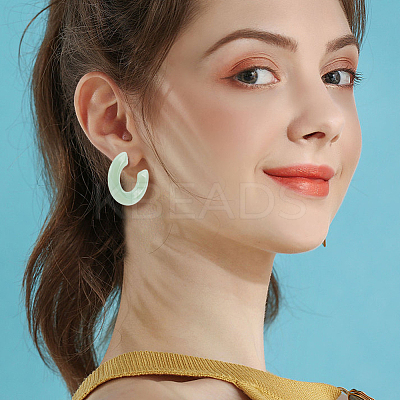 8 Pairs 8 Colors Acrylic Arch Stud Earrings EJEW-AN0003-38-1