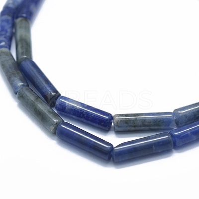 Natural Sodalite Beads Strands G-F631-D16-1
