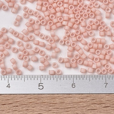 MIYUKI Delica Beads SEED-JP0008-DB1513-1
