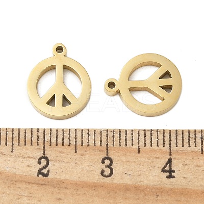 304 Stainless Steel Charms STAS-L022-137G-1