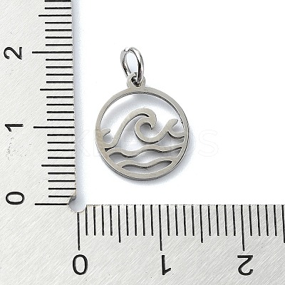 Non-Tarnish 304 Stainless Steel Charms X-STAS-C097-63P-1