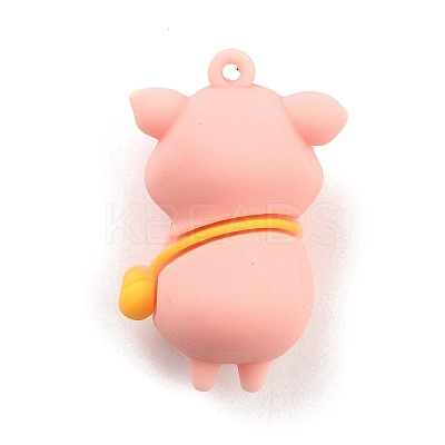 PVC Pendants X-FIND-B002-03-1