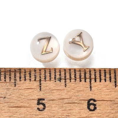 26Pcs 26 Styles Natural White Shell Disc Beads with Brass Slices BSHE-Z008-10-1