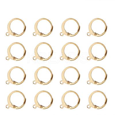 304 Stainless Steel Leverback Earring Findings A-STAS-G081-62G-1