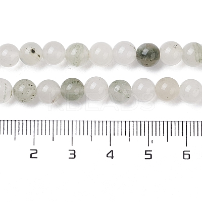 Natural Tianshan Cui Quartzite Beads Strands G-C102-B02-01-1
