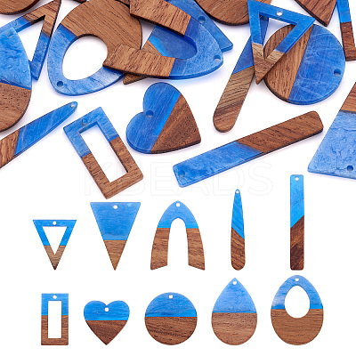 20Pcs 10 Styles Transparent Resin & Walnut Wood Pendants RESI-TA0003-21-1