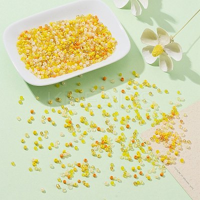 3960pcs 12 Style 8/0 Glass Seed Beads SEED-CJ0001-21-1
