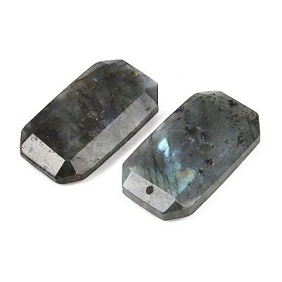 Natural Labradorite Pendants G-H325-03I-1